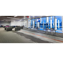 Balance Momentum Balance Momentum 31 b фото 2 | FLOORDEALER